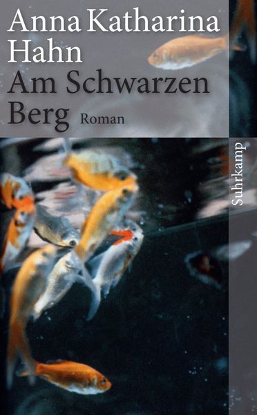 Cover von Am Schwarzen Berg