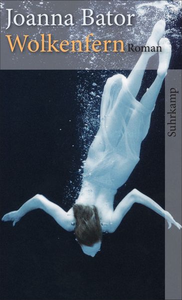 Cover von Wolkenfern