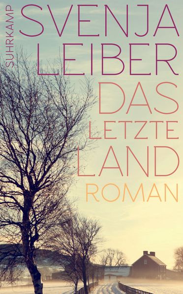 Cover von Das letzte Land