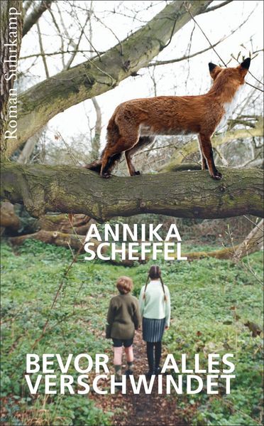 Cover von Bevor alles verschwindet