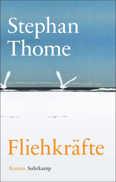 Cover von Fliehkräfte