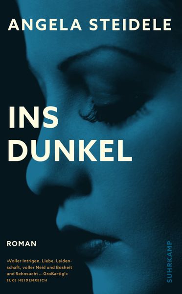 Cover von Ins Dunkel