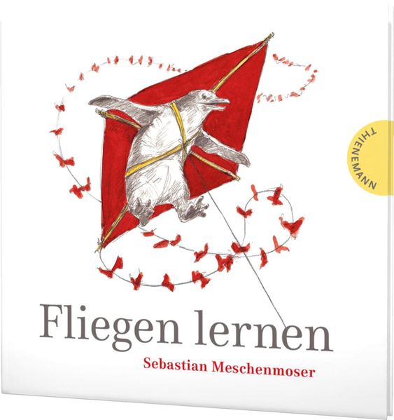 Cover von Fliegen lernen