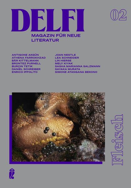 Cover von Delfi Fleisch (Delfi 2)