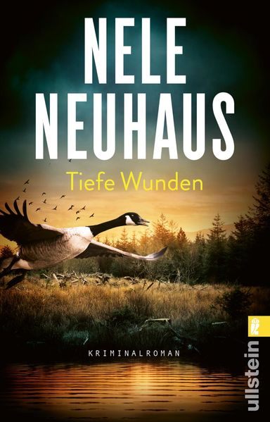 Cover von Tiefe Wunden (Ein Bodenstein-Kirchhoff-Krimi 3)