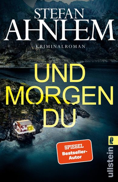 Cover von Und morgen du (Ein Fabian-Risk-Krimi 1)