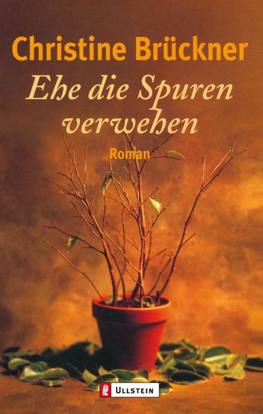 Cover von Ehe die Spuren verwehen