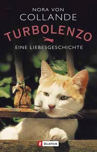 Cover von Turbolenzo