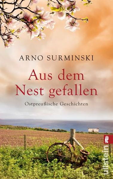 Cover von Aus dem Nest gefallen
