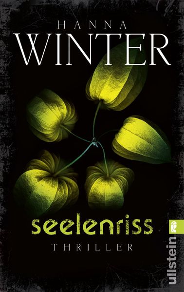 Cover von Seelenriss
