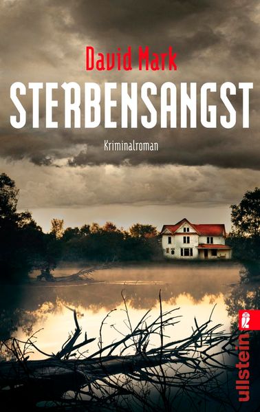 Cover von Sterbensangst
