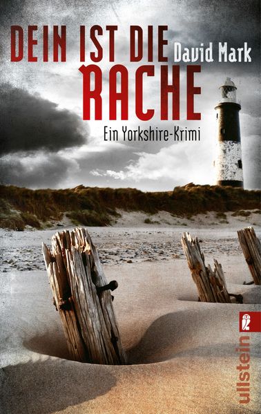 Cover von Dein ist die Rache. McAvoys zweiter Fall
