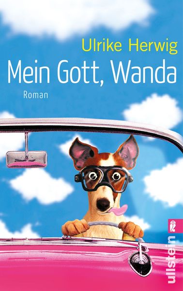 Cover von Mein Gott, Wanda
