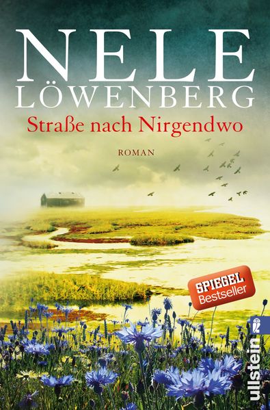 Cover von Straße nach Nirgendwo