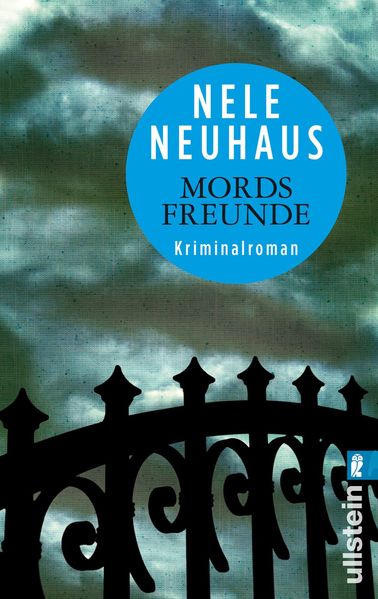 Cover von Schatten über dem Odenwald