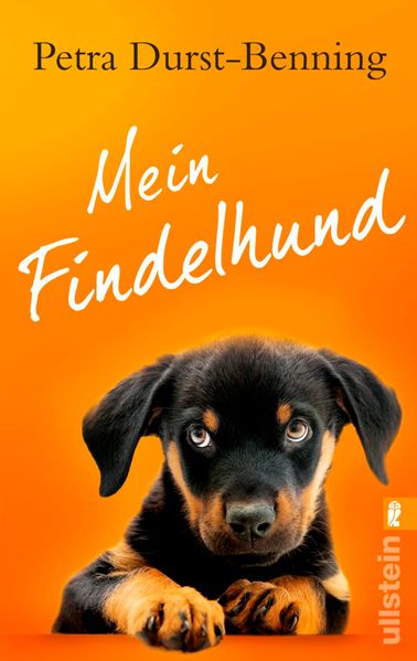 Cover von Mein Findelhund