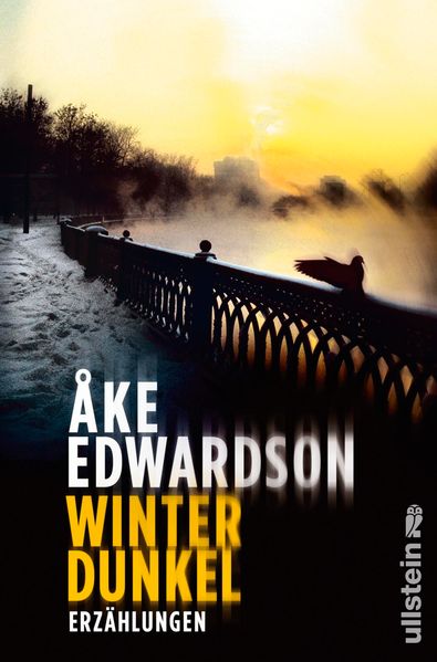 Cover von Winterdunkel