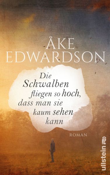 Cover von Die Schwalben fliegen so hoch, dass man sie kaum sehen kann