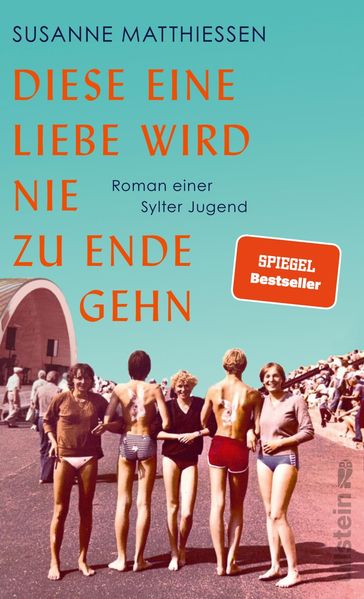 Cover von Diese eine Liebe wird nie zu Ende gehn