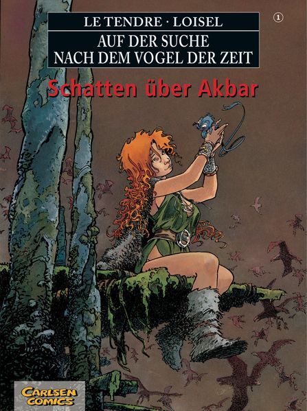 Cover von Auf der Suche nach dem Vogel der Zeit 1: Schatten über Akbar (SC)