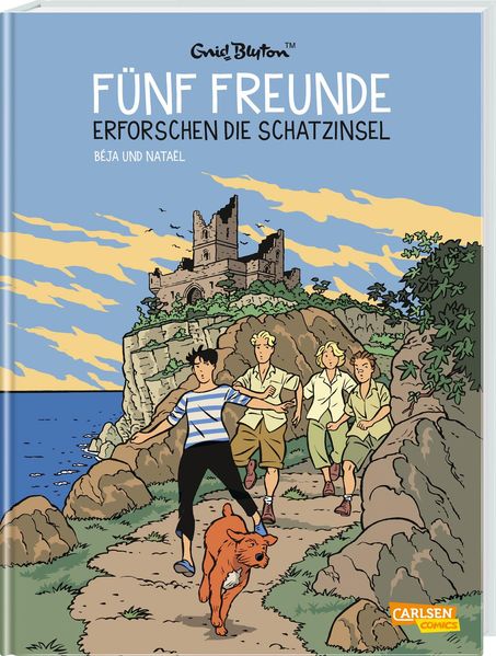 Cover von Fünf Freunde 1: Fünf Freunde erforschen die Schatzinsel