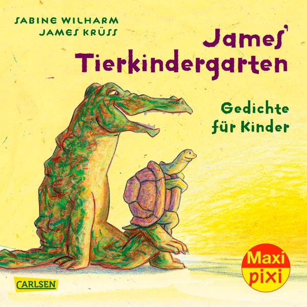 Cover von Maxi Pixi 252: Dunkel war’s, der Mond schien helle
