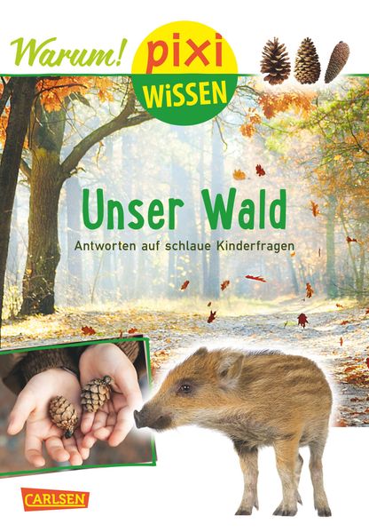 Cover von LESEMAUS 201: Im Wald