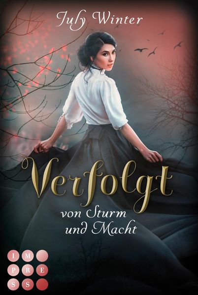 Cover von Verfolgt von Sturm und Macht (Sturmwanderer 1)