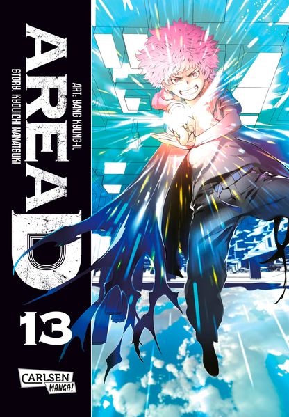 Cover von Area D 13