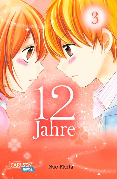 Cover von 12 Jahre 3