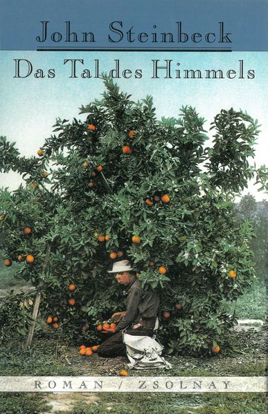 Cover von Das Tal des Himmels