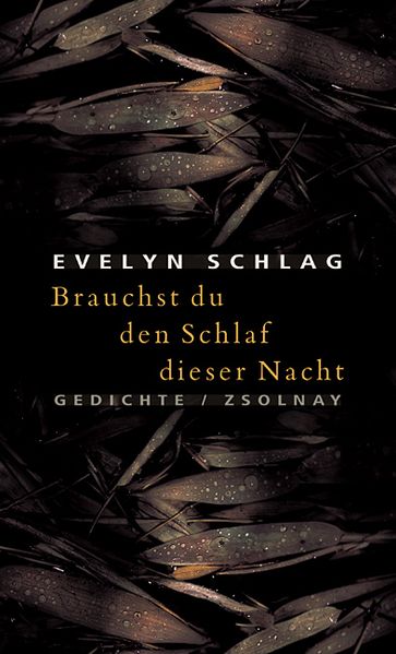 Cover von Brauchst du den Schlaf dieser Nacht