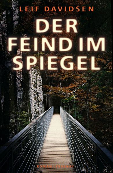 Cover von Der Feind im Spiegel
