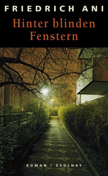 Cover von Hinter blinden Fenstern