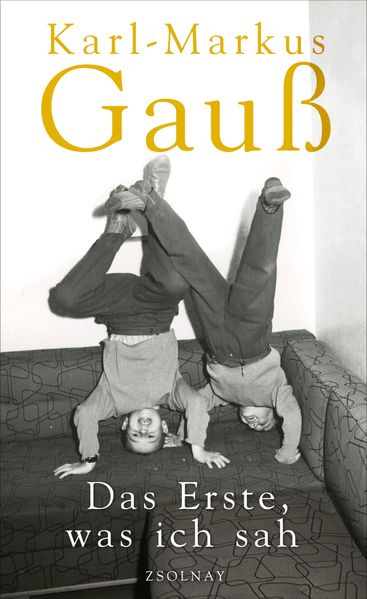 Cover von Das Erste, was ich sah