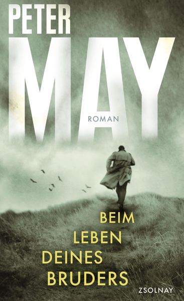 Cover von Beim Leben deines Bruders