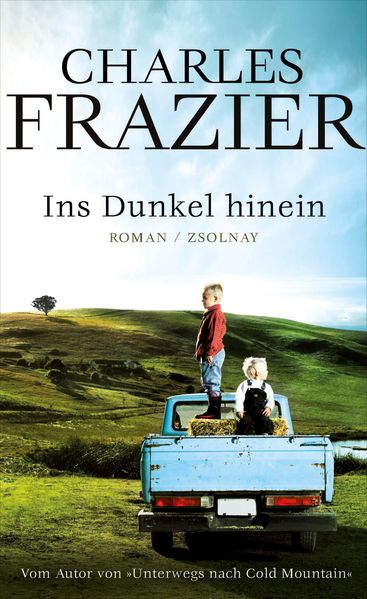Cover von Ins Dunkel hinein