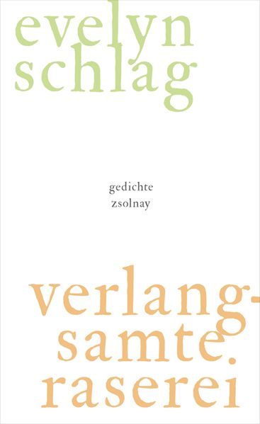 Cover von verlangsamte raserei