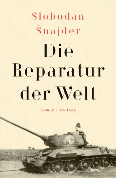 Cover von Die Reparatur der Welt