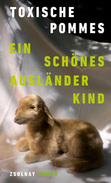 Cover von Ein schönes Ausländerkind
