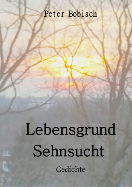Cover von Lebensgrund Sehnsucht