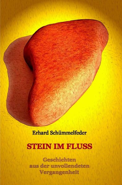 Cover von Stein im Fluss