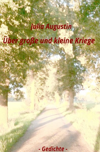 Cover von Über große und kleine Kriege