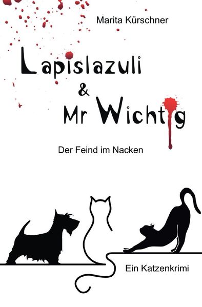Cover von Lapislazuli & Mr Wichtig/Lapislazuli & Mr Wichtig – Der Feind im Nacken