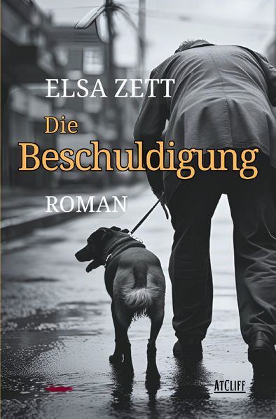 Cover von Die Beschuldigung
