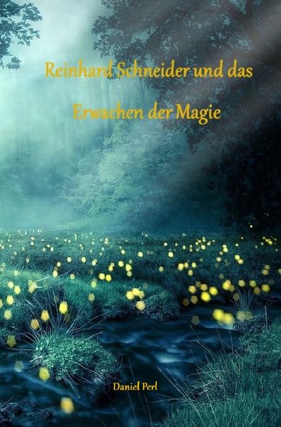 Cover von Reinhard Schneider und das Erwachen der Magie – Eine Zauberer Hexen Magier Fantasy Magic Zauberschule Nürnberg Geschichte