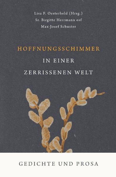 Cover von Hoffnungsschimmer in einer zerrissenen Welt