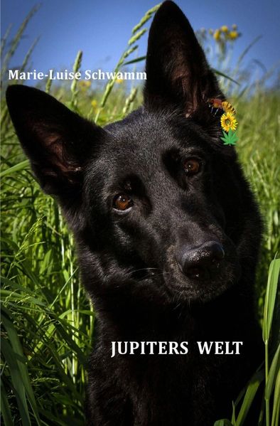 Cover von Jupiters Welt