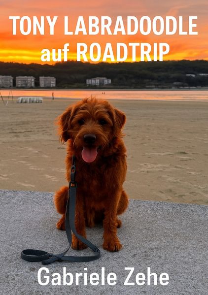 Cover von Tony Labradoodle auf Roadtrip