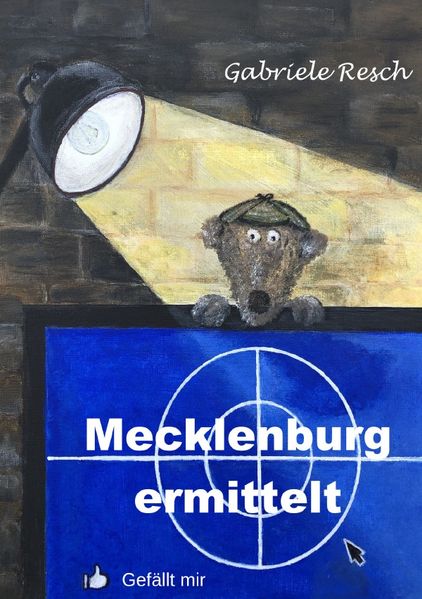 Cover von Mecklenburg ermittelt